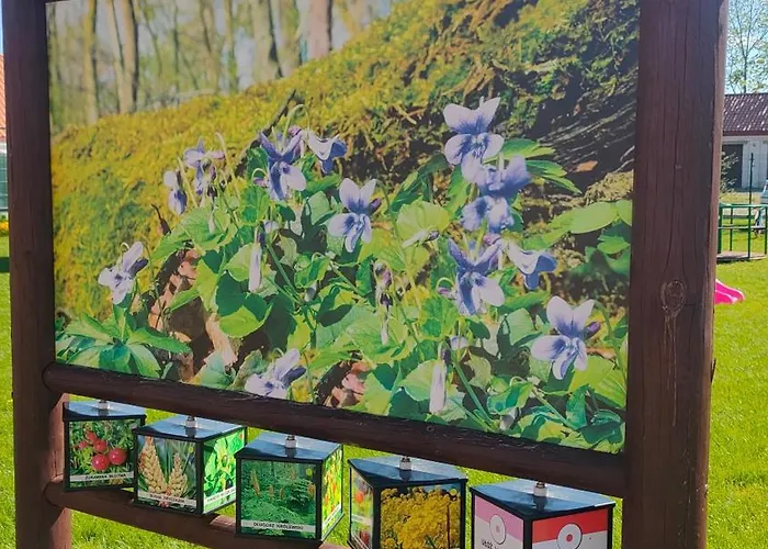 Hotel Centrum Dialogu Kultur *